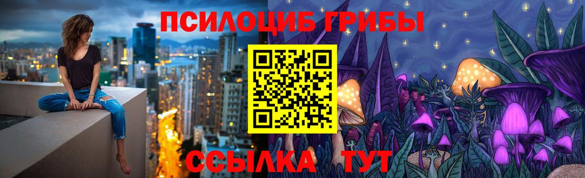 Абинск  Псилоцибиновые грибы MAGIC MUSHROOMS  Галлюциногенные грибы Cubensis  Вход с VPN 